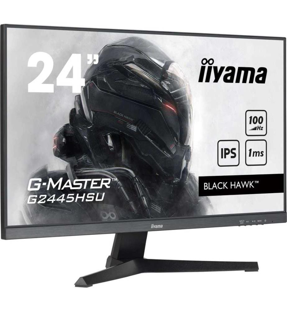 Computerbildschirm IIYAMA - Modell: G2445HSU-B2
