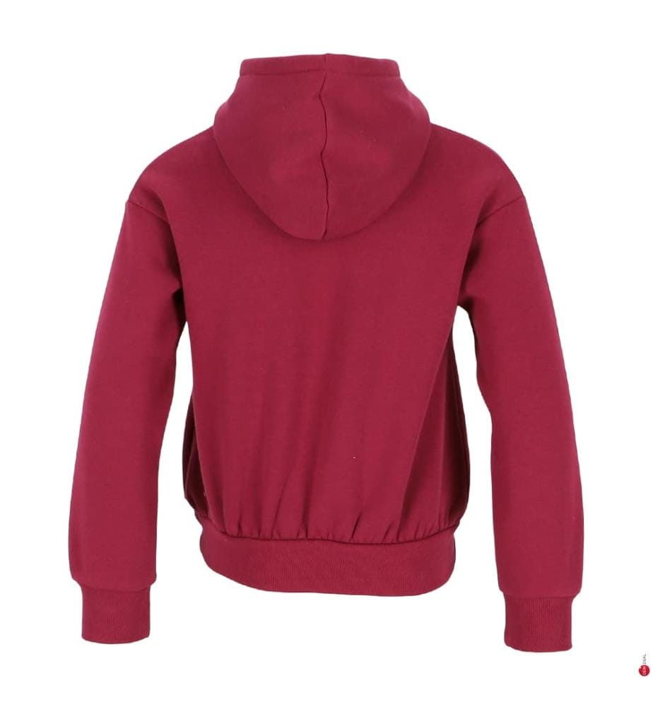 Hoodie - Rot