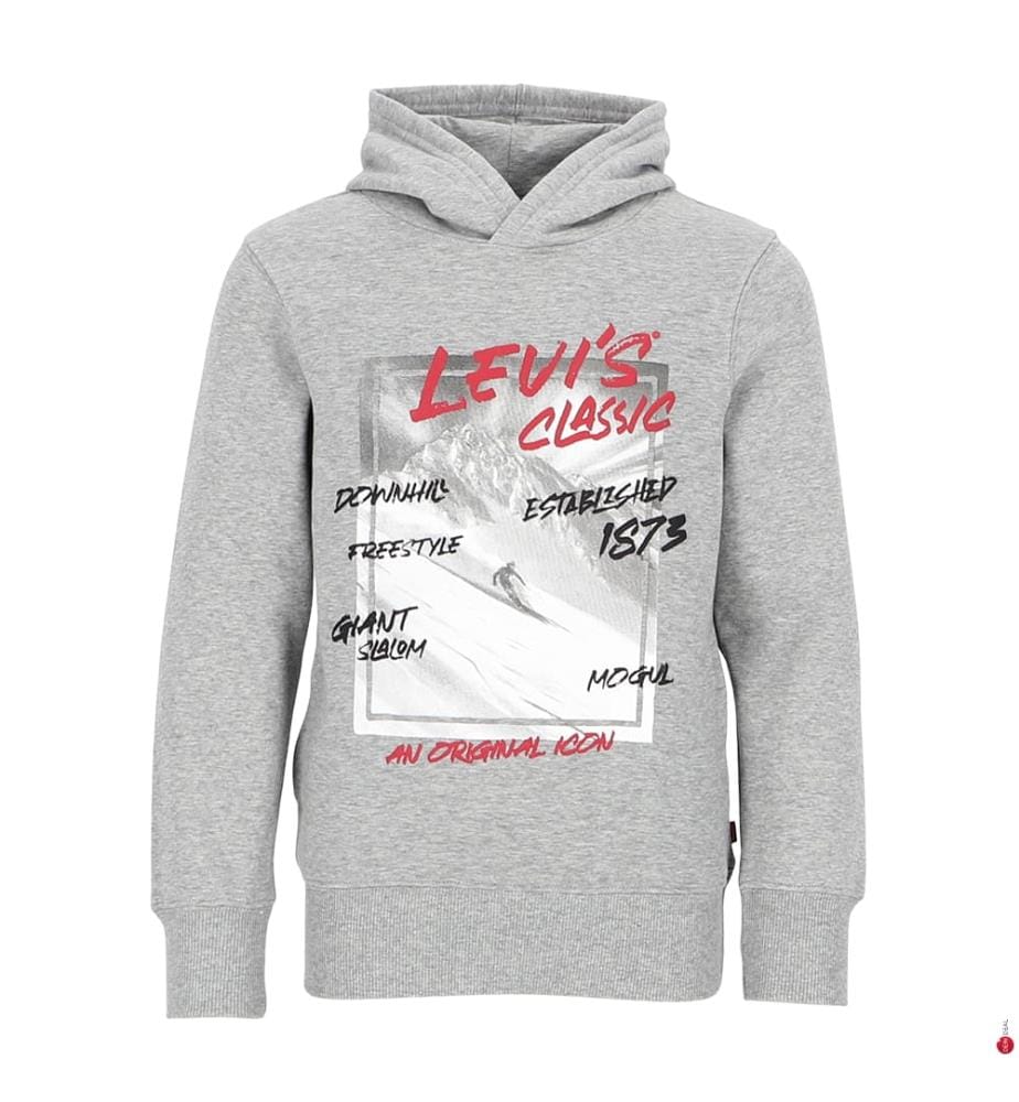 Hoodie - Grau