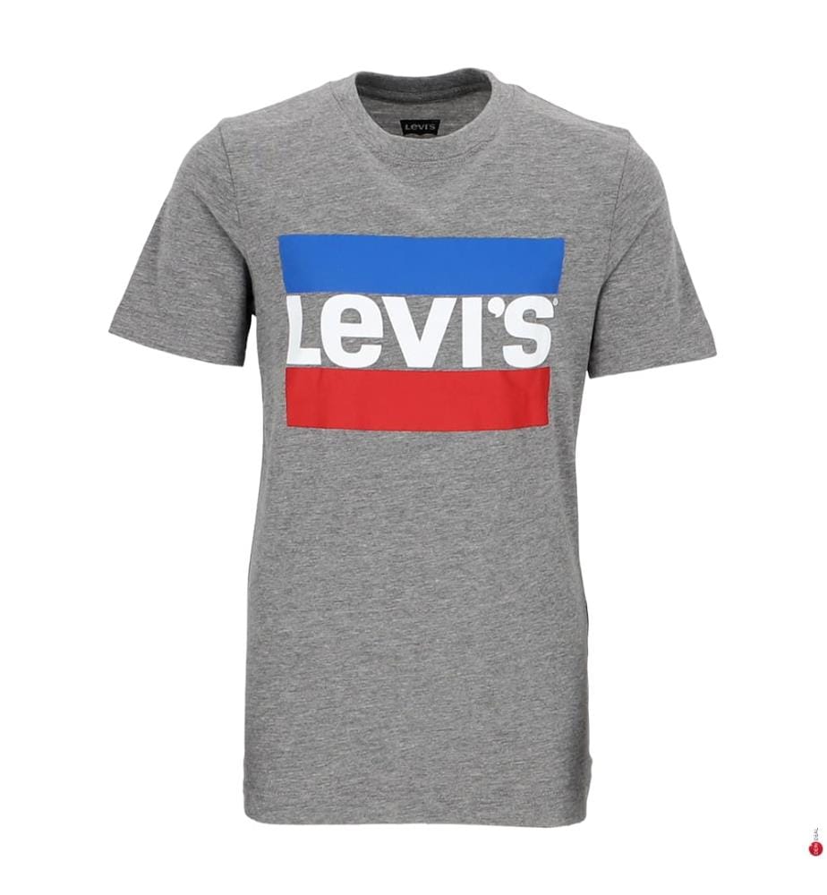 T-Shirt - Grau