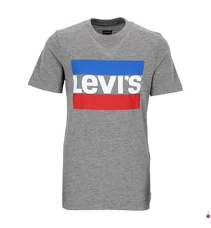 T-Shirt - Grau