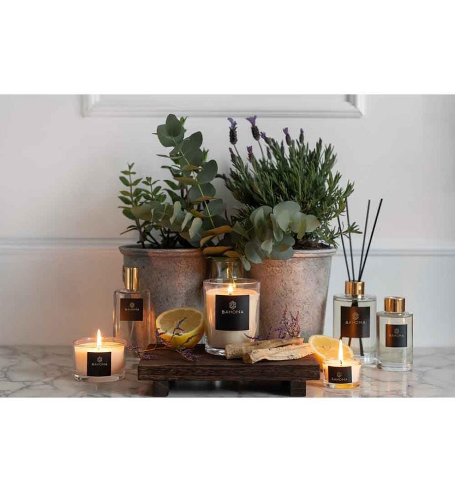 Bahoma 100ml - Fragrance Diffuser Ambre & Sauge,… | DeinDeal
