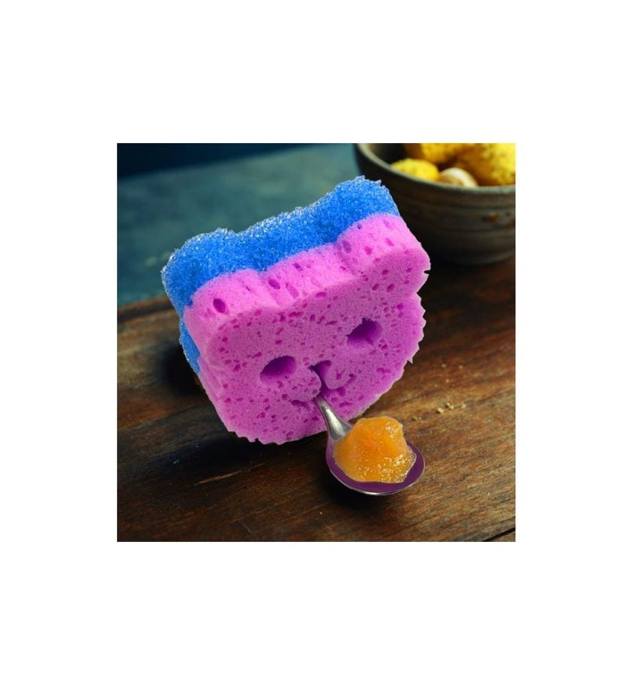CPC - Geschirrschwamm Magic Teddy Duo 5er Set