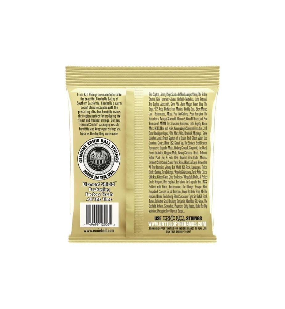 Ernie Ball - Cordes de guitare 2003 Earthwood Bronze – Medium Light 12-54