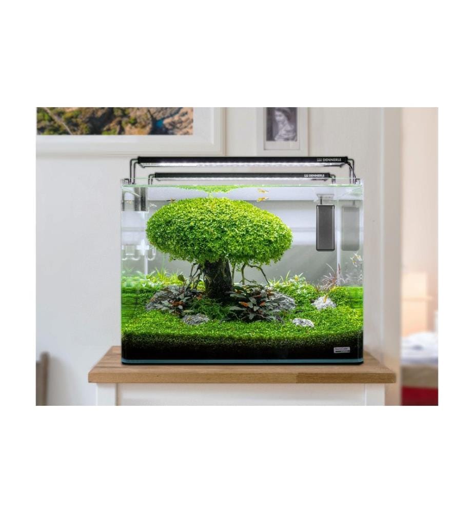 DENNERLE - Chauffage constant, 75 W