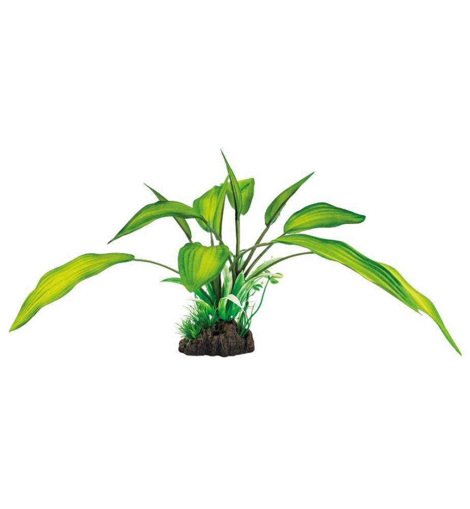 SuperFish - Kunstpflanze Cryptocoryne, 25 cm