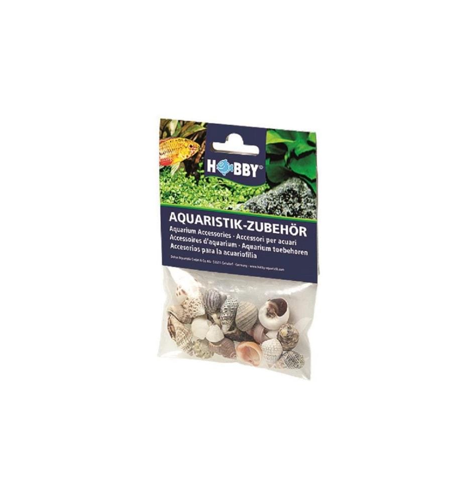 Hobby Aquaristik - Décoration Sea Shells Set, S, 20 pièces