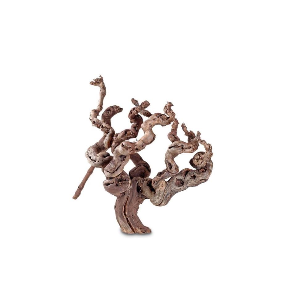 Hobby Terraristik - Racine de vigne environ 30 cm
