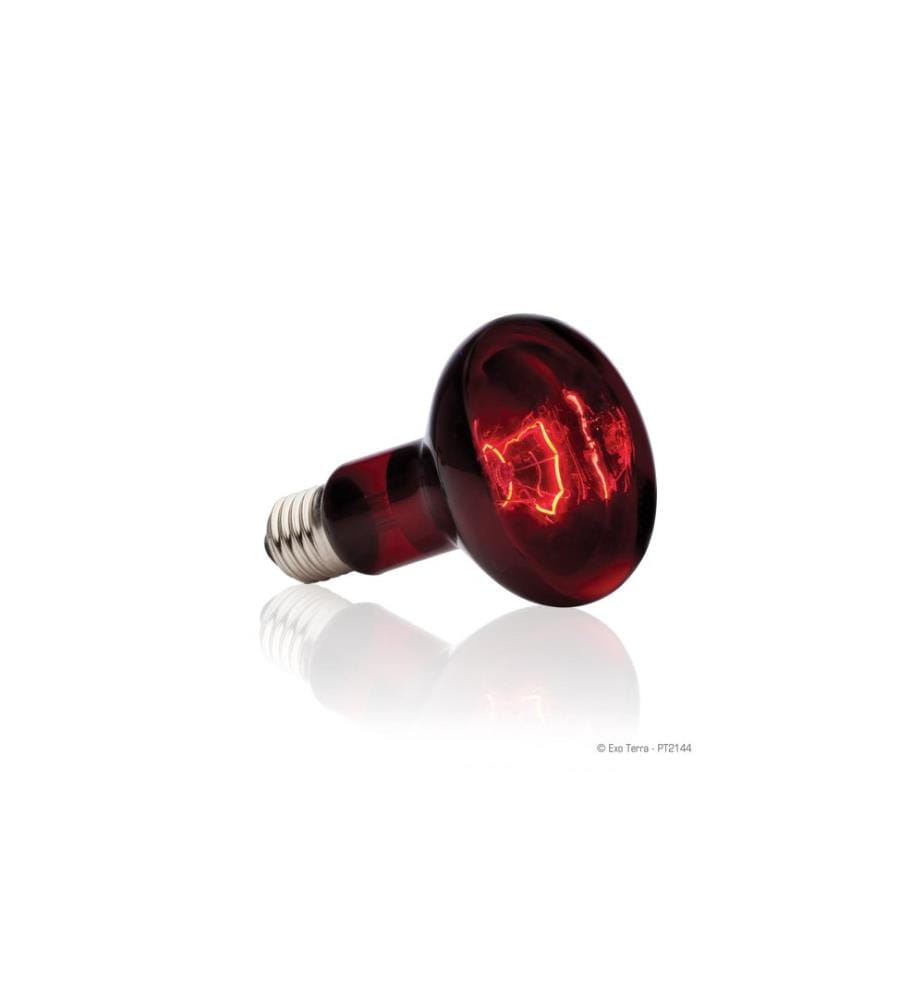 Exo Terra - Lampe pour terrarium Infrared Basking Spot E27, R25/100W