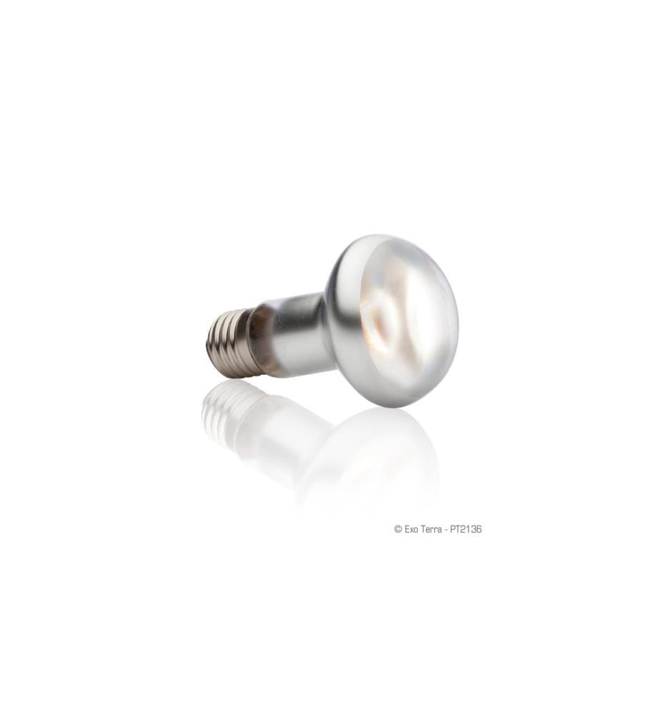 Exo Terra - Lampe pour terrarium Intense Basking Spot E27, R20/75W