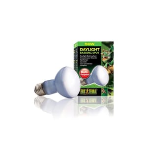 Exo Terra - Lampe pour terrarium Daylight Basking Spot E27, R20/50W
