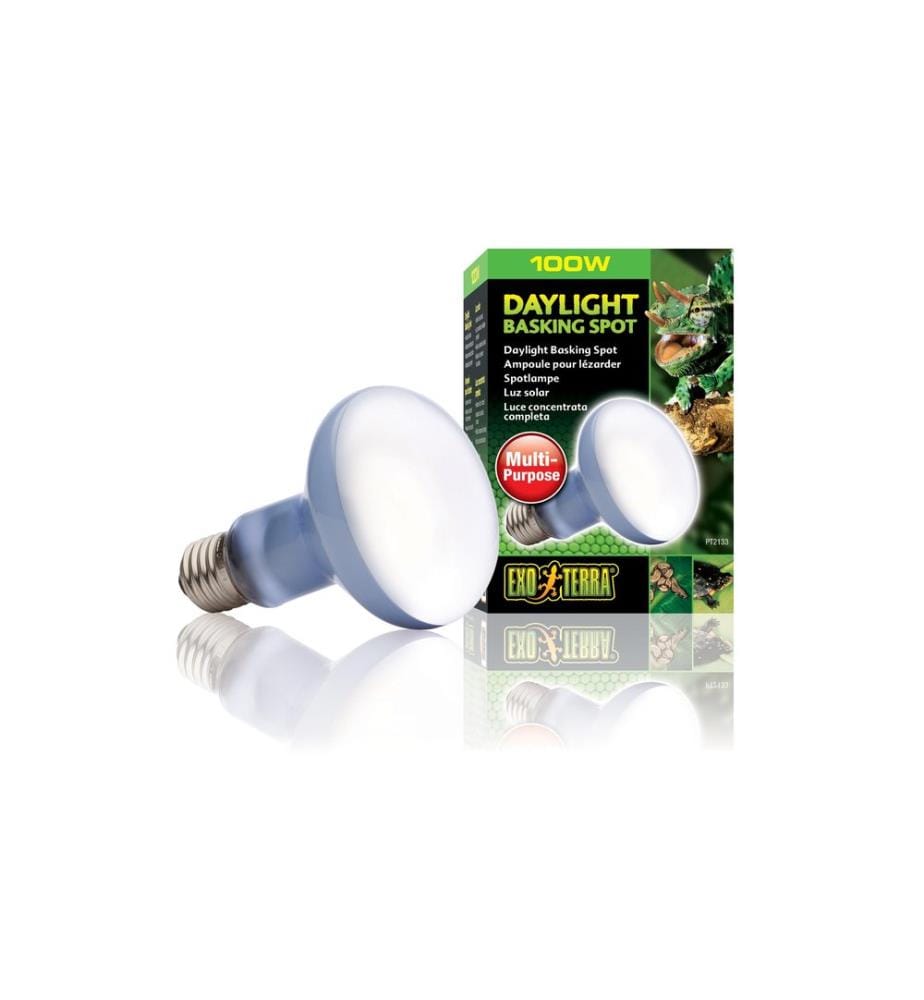 Exo Terra - Lampe pour terrarium Daylight Basking Spot E27, R25/100W