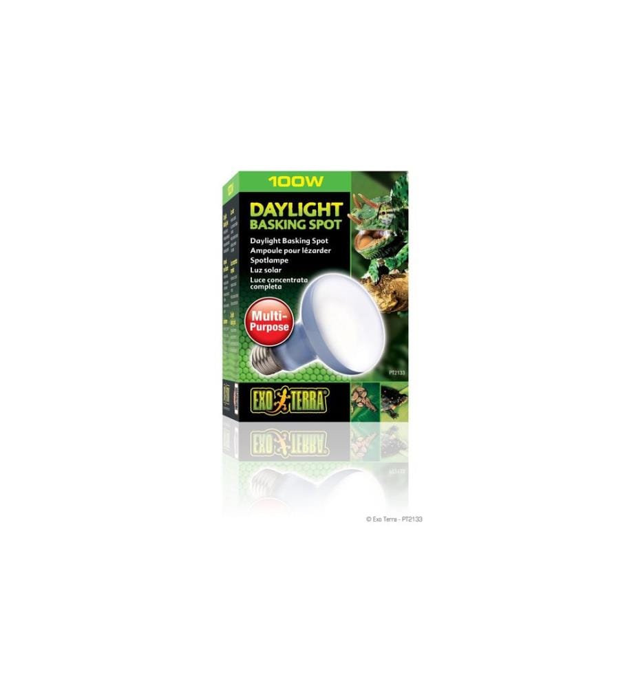 Exo Terra - Lampe pour terrarium Daylight Basking Spot E27, R25/100W