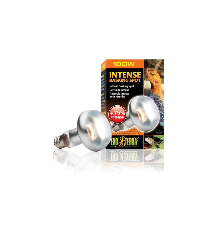 Exo Terra - Lampe pour terrarium Intense Basking Spot E27, R25/100W