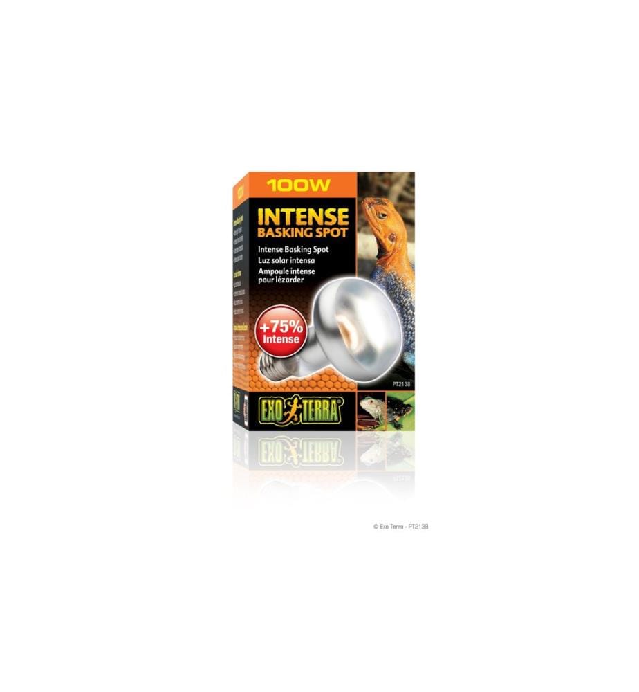Exo Terra - Lampe pour terrarium Intense Basking Spot E27, R25/100W