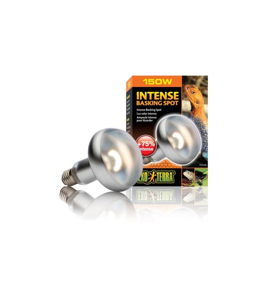 Exo Terra - Lampe pour terrarium Intense Basking Spot E27, R30/150W