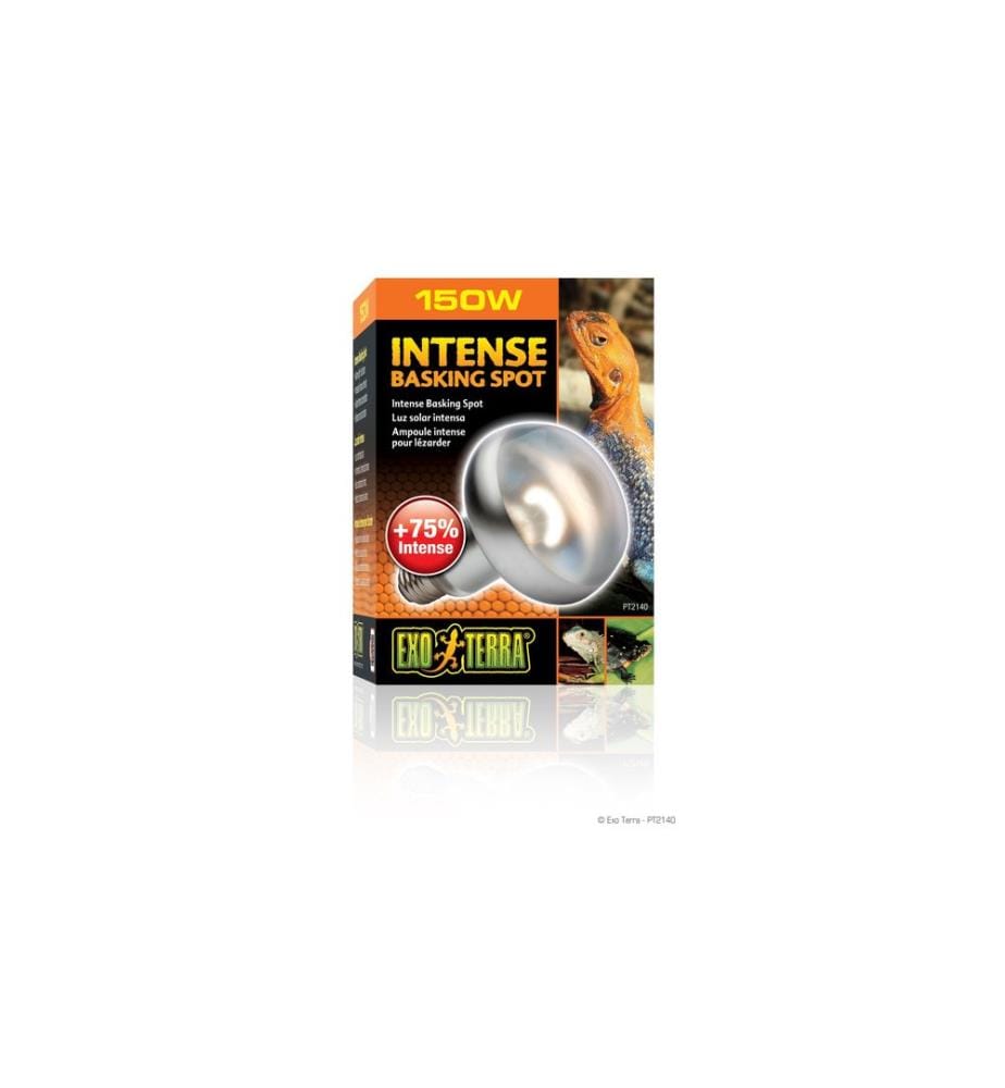 Exo Terra - Lampe pour terrarium Intense Basking Spot E27, R30/150W