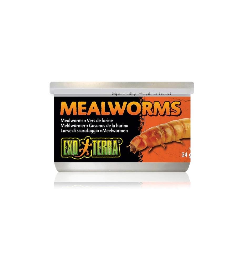 Exo Terra - Dosenfutter Mealworms, 34 g