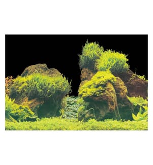 SuperFish - Film de fond Poster déco E6 150 x 61 cm