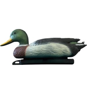 SuperFish - Deko oiseau colvert mâle