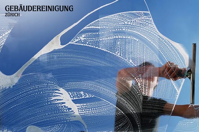 Professionelle Lamellen- und Fensterreinigung