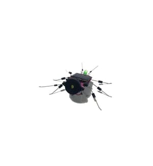 Whadda - Kits de montage Insecte solaire
