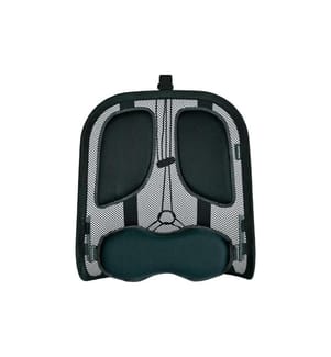 FELLOWES - Stabilisateur dorsal Professional attraper au filet
