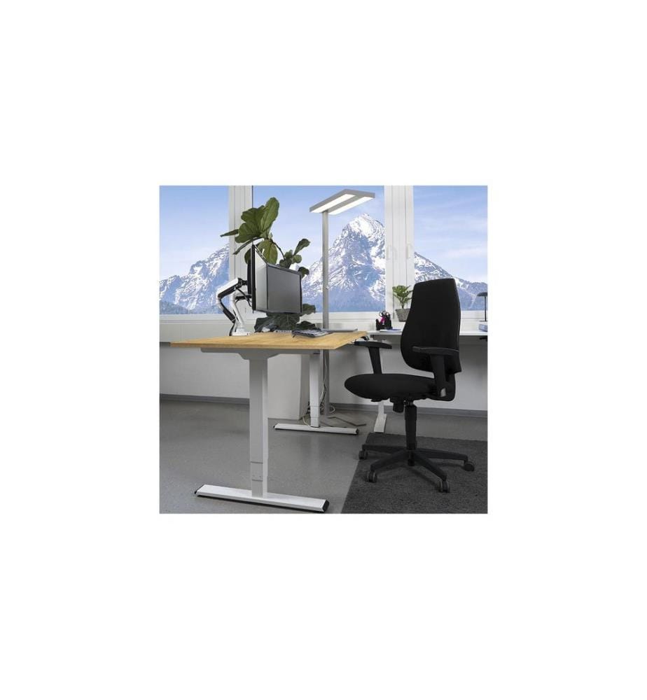 CONTINI - table de bureau réglable en hauteur 1.4 x 0.8 m chêne/blanc