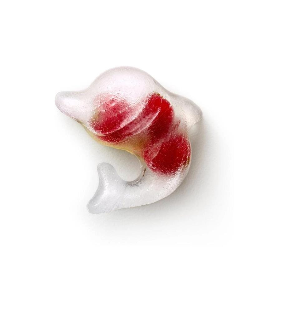 Lékué - Eiswürfelform Delphin Türkis