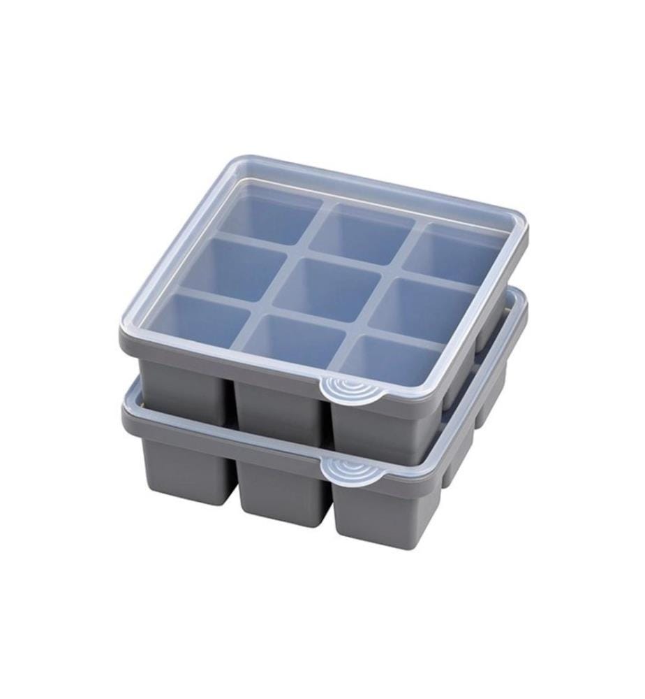 APS - Eiswürfelform mit Deckel 2er Set