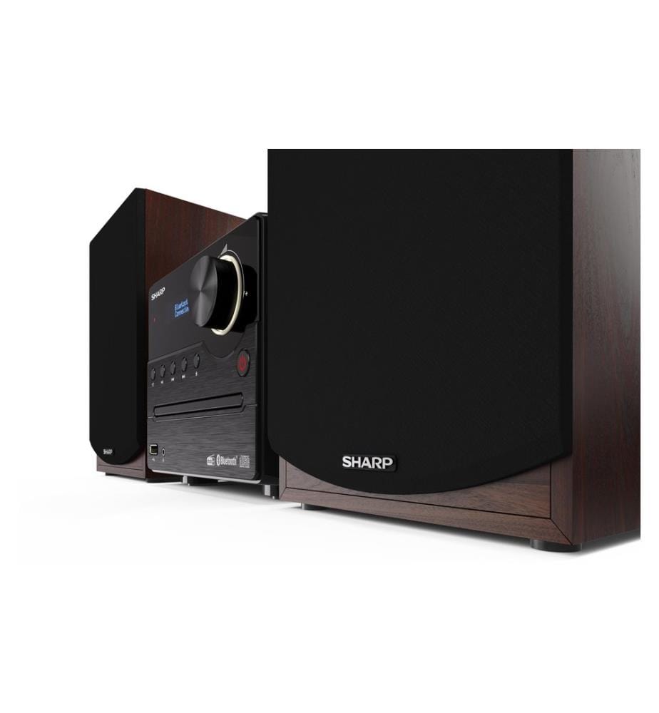 SHARP - Systèmes audio XLB517DBR Microsystème DAB+/FM