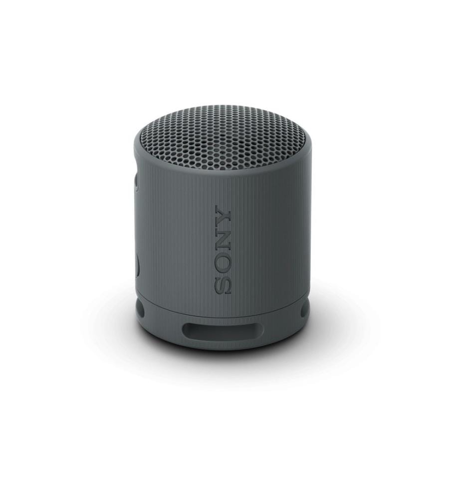 SONY - Bluetooth Speaker SRS-XB100 Schwarz