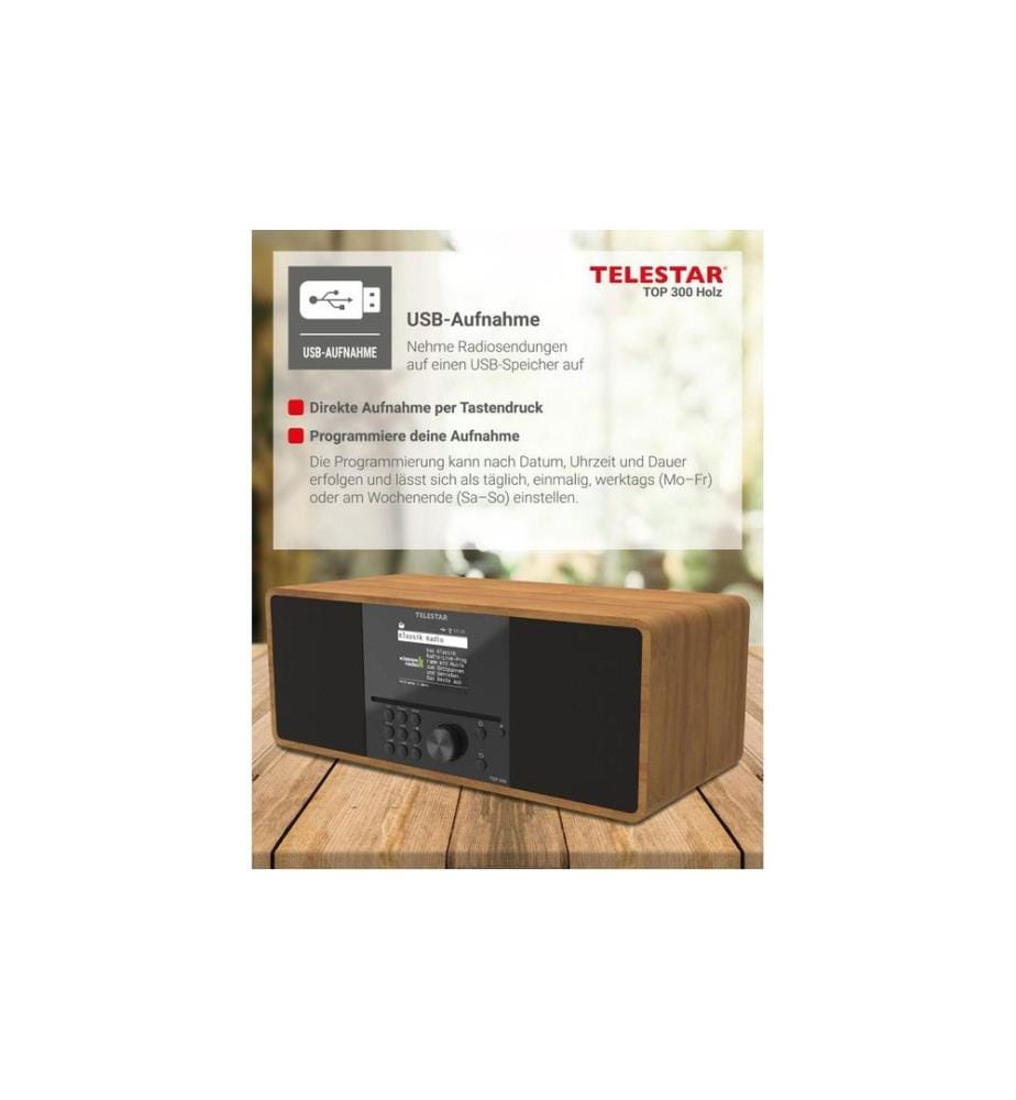Telestar - Radio Internet TOP 300 Brun