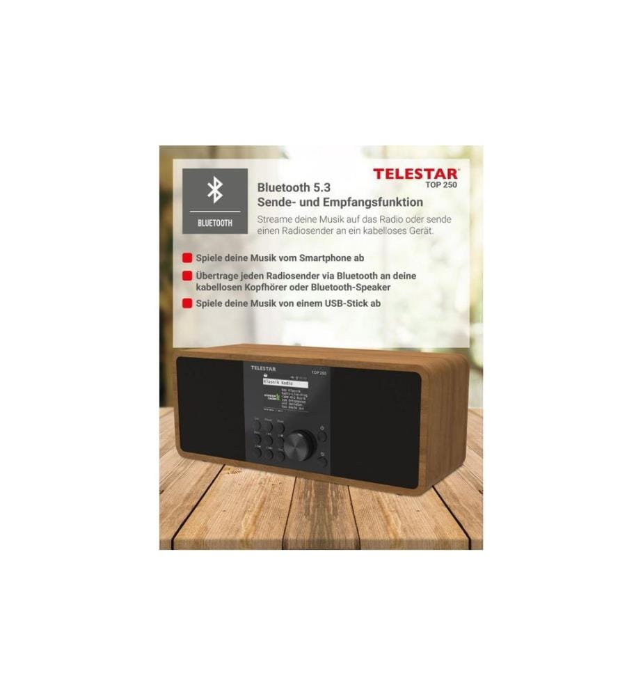 Telestar - Internet Radio TOP 250 Braun/Holz
