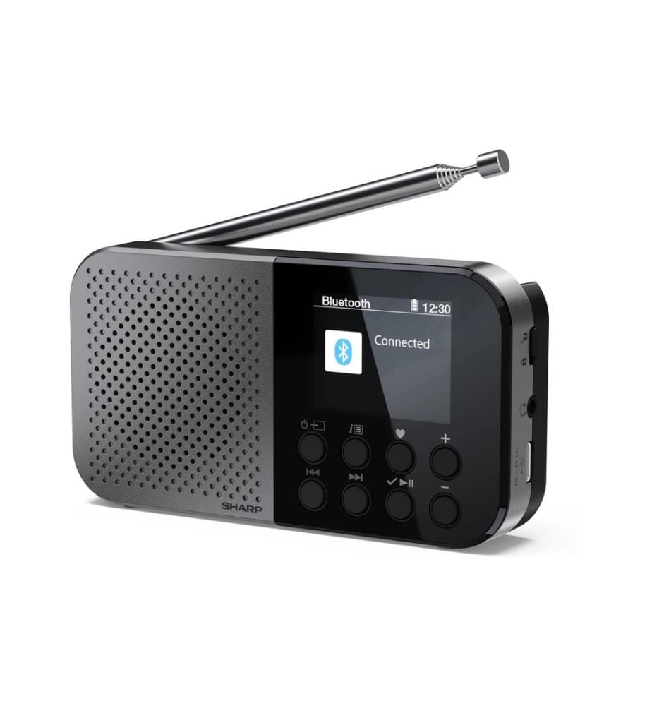 SHARP - DAB+ Radio DR-P520 Grau