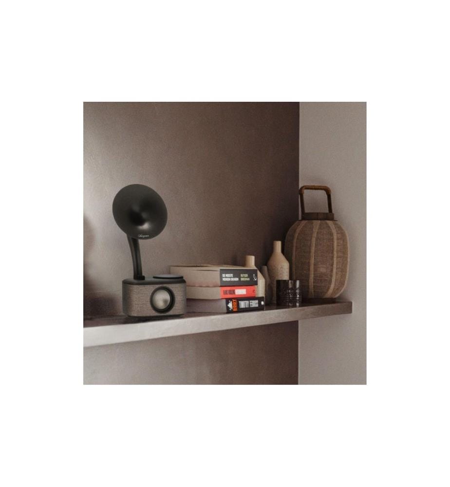 SANGEAN - Radio CP-100D Schwarz/Grau