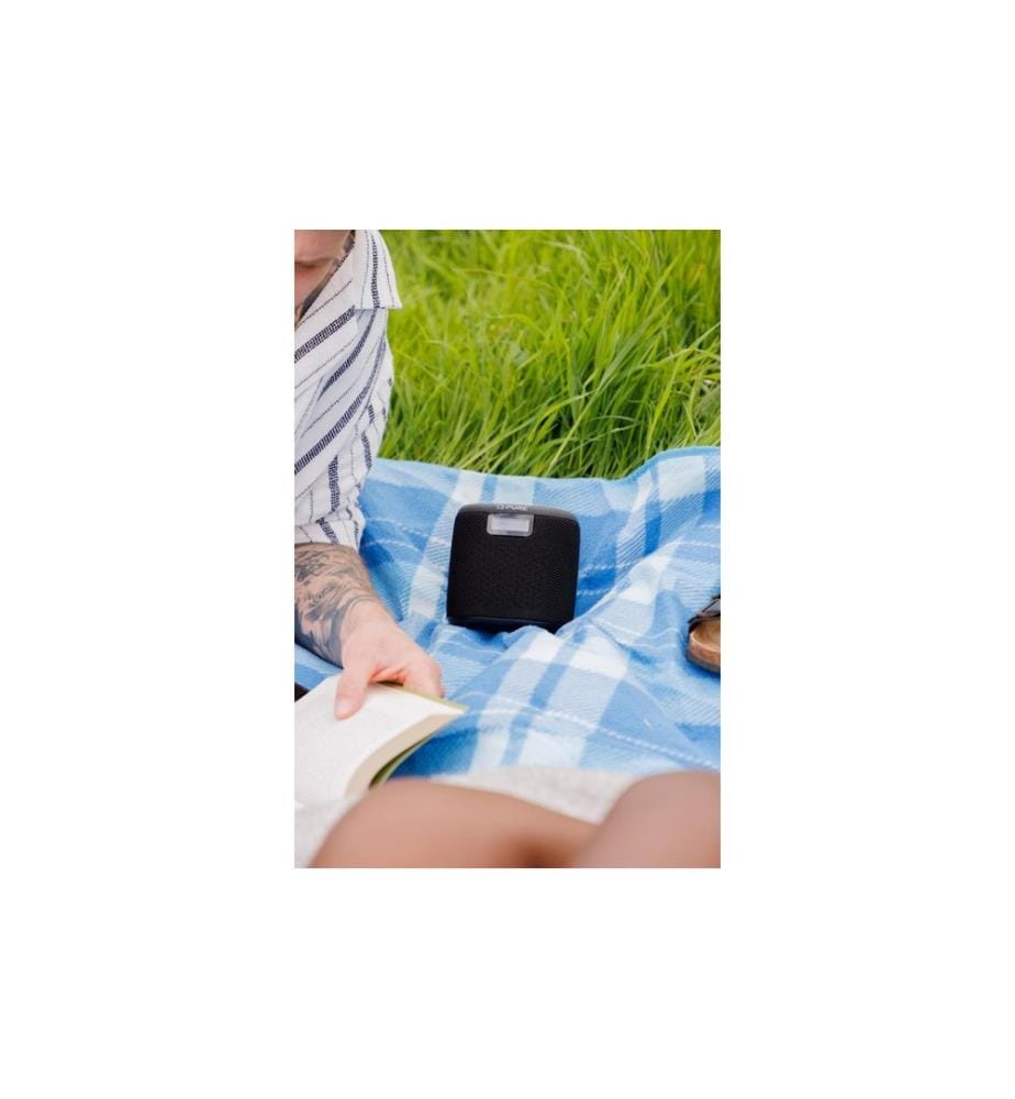 PURE - Radio Woodland Mini Schwarz