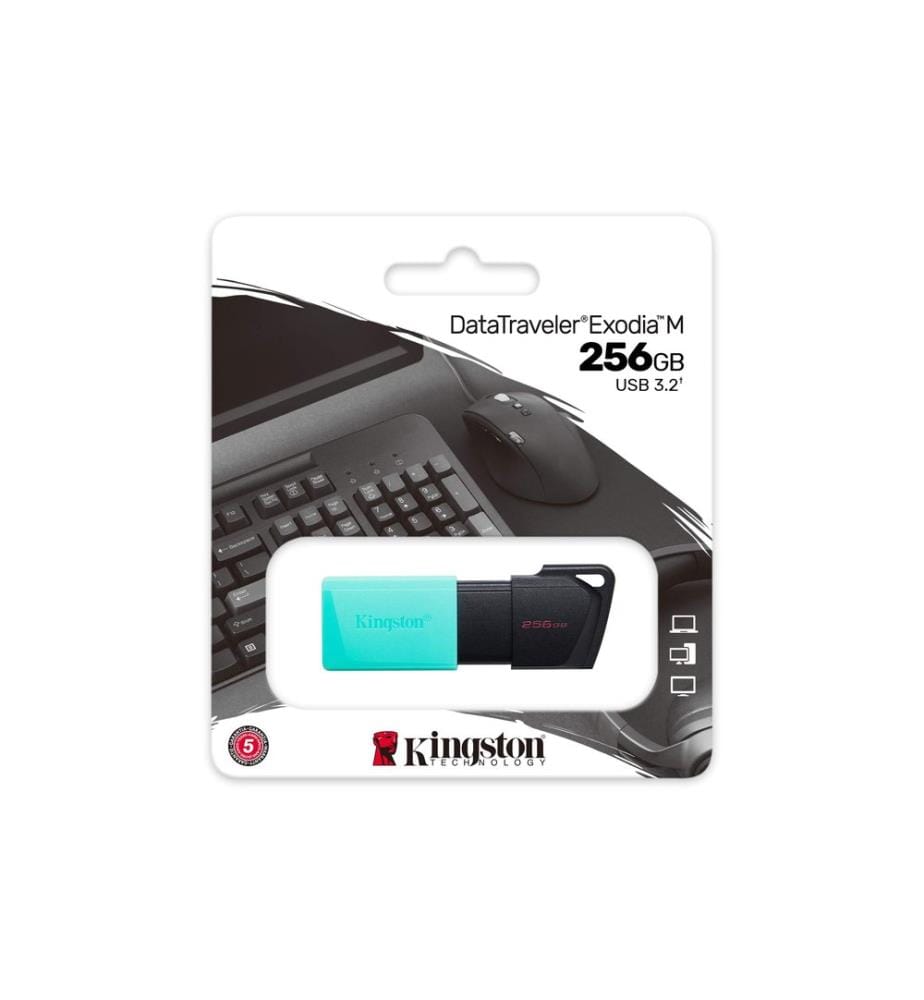 KINGSTON - USB-Stick DataTraveler Exodia M 256 GB
