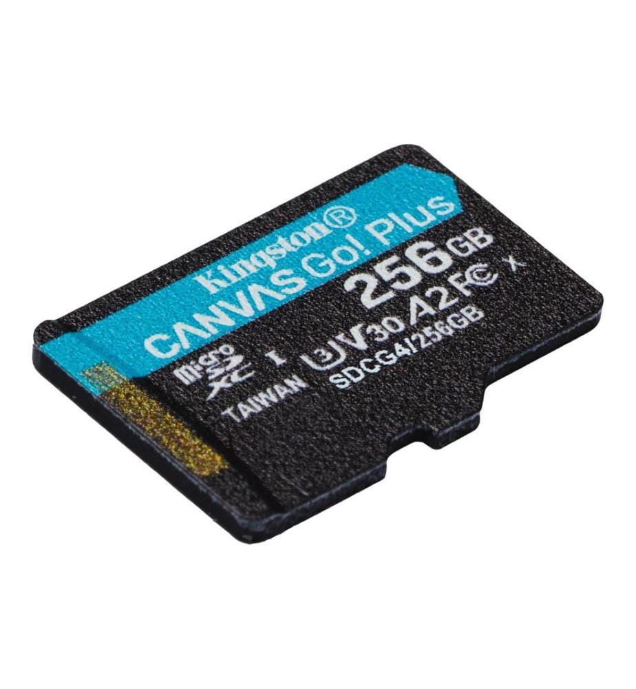 KINGSTON - Carte microSDXC Canvas Go! Plus 256 GB, sans adaptateur