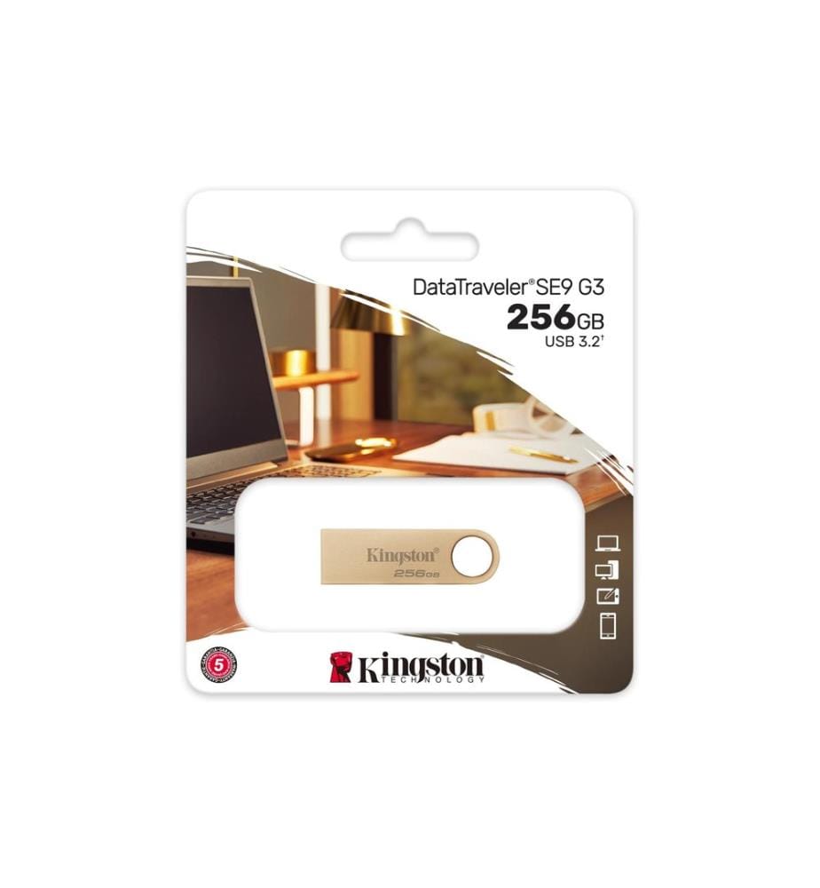 KINGSTON - USB-Stick DataTraveler SE9 G3 256 GB