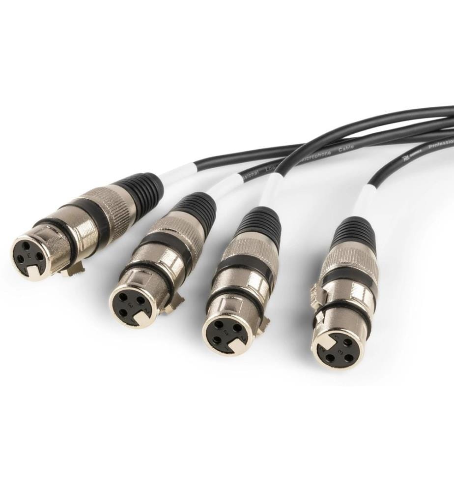 PD Connex - CX192 XLR 3 pôles, femelle - RJ45 0.7 m
