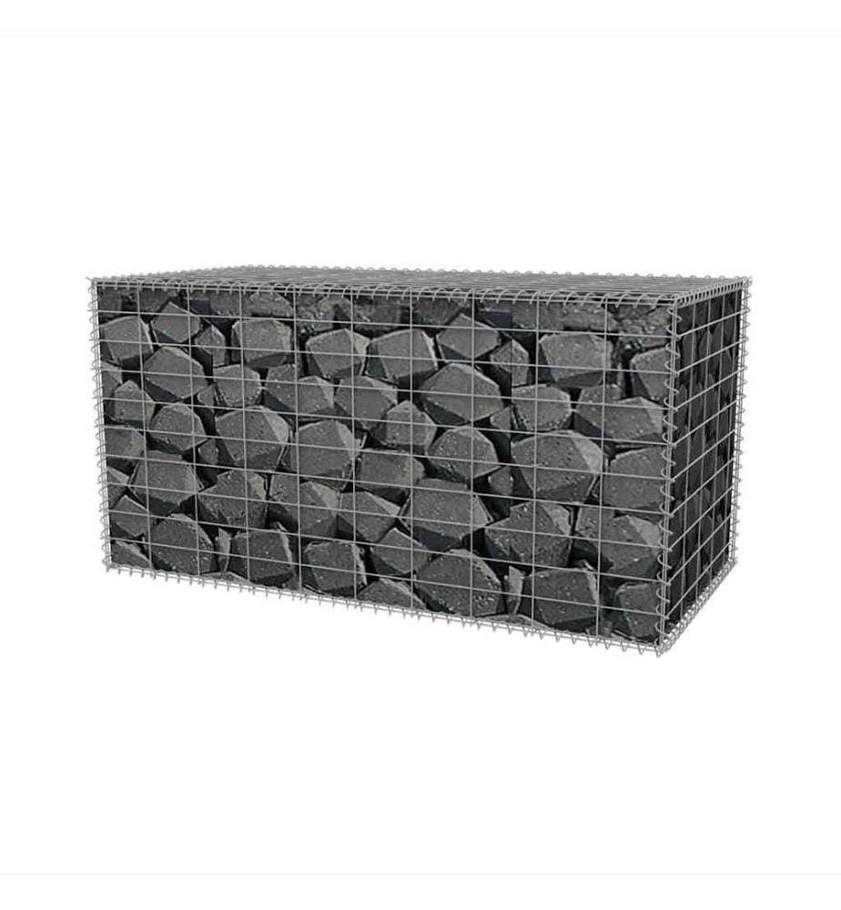 Panier de gabion Acier galvanisé 100x50x50 cm