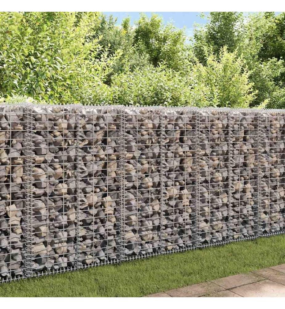 Mur à gabion avec couvercles Acier galvanisé 20x20x100 cm