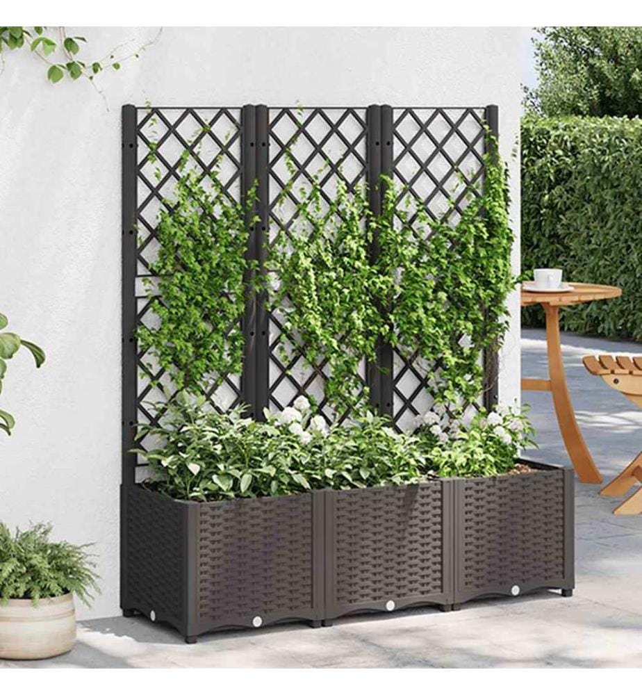 Garten-Pflanzgefäss mit Spalier Schwarz 120 x 40 x 136 cm PP