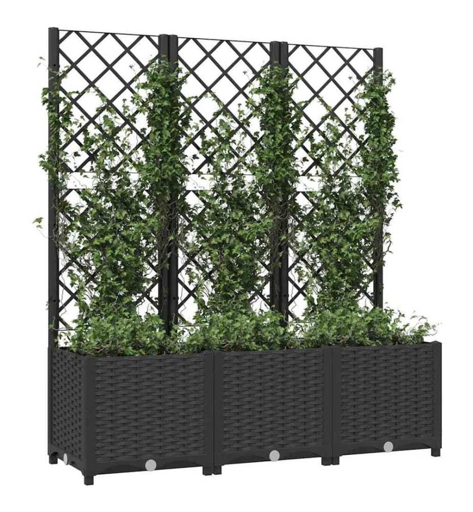 Garten-Pflanzgefäss mit Spalier Schwarz 120 x 40 x 136 cm PP