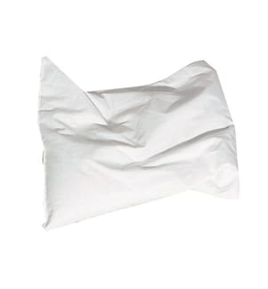 Cuscino di miglio biologico
