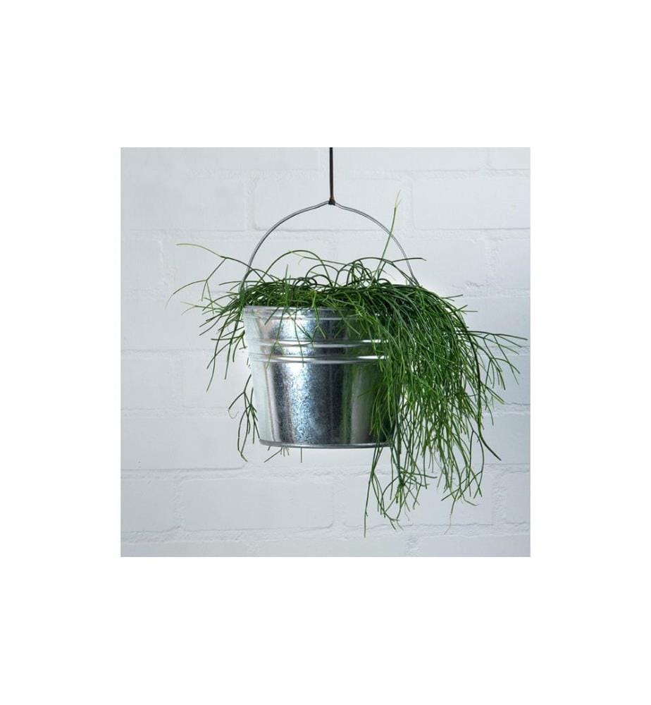 ESSCHERT DESIGN - Zinkeimer M Silber