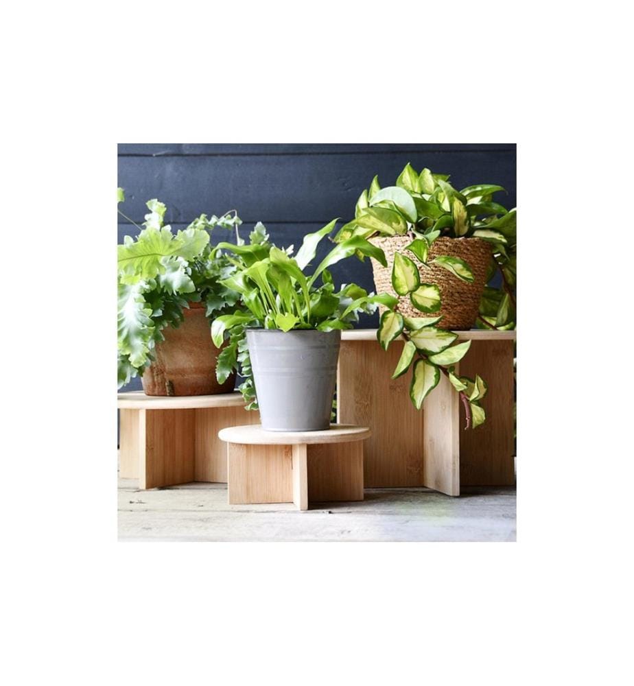 ESSCHERT DESIGN - Pflanzenständer S Ø 18 cm, Nature