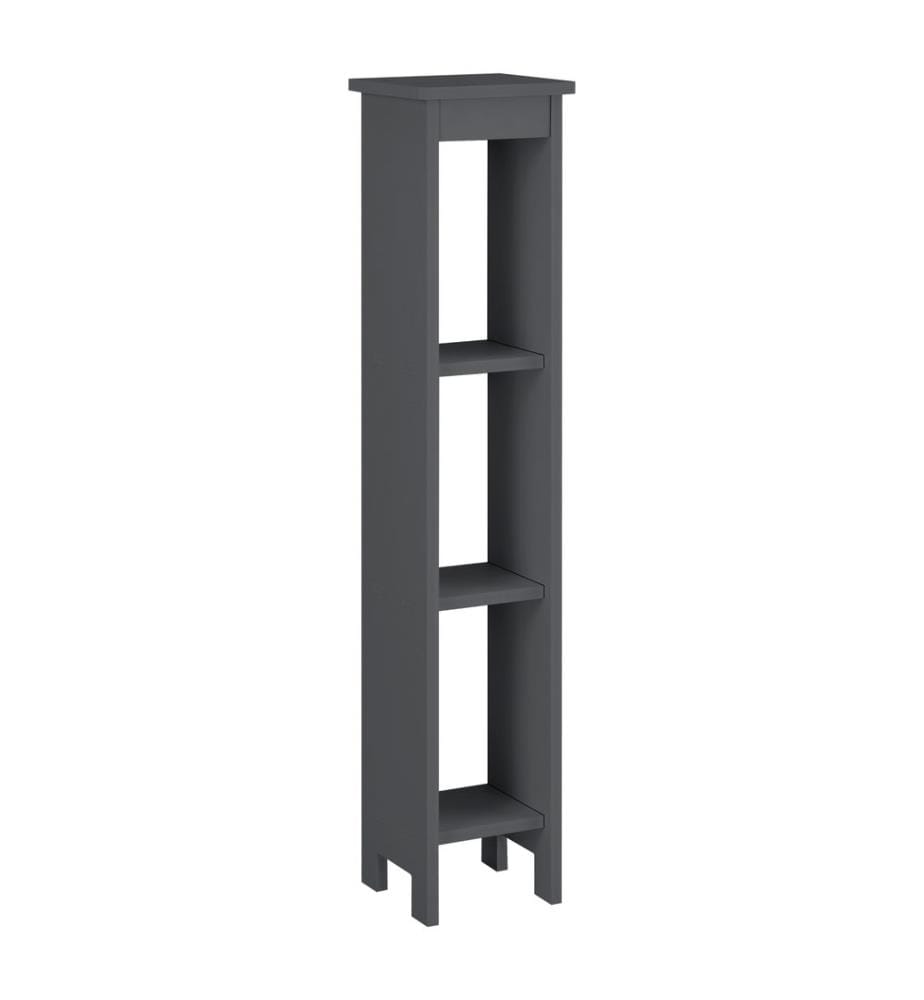 Étagère sur pied Quara avec 3 tablettes 80 x 17 x 17 cm, gris foncé