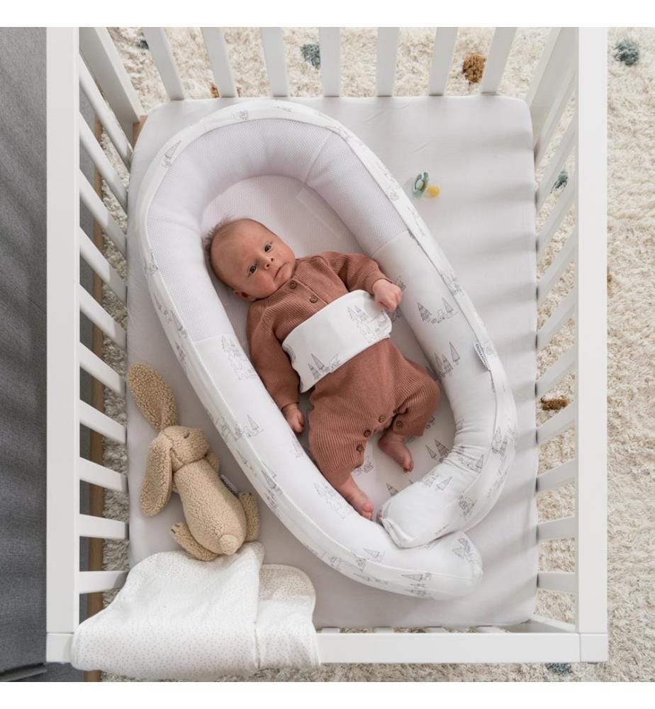 Cocoon Bear Family gris